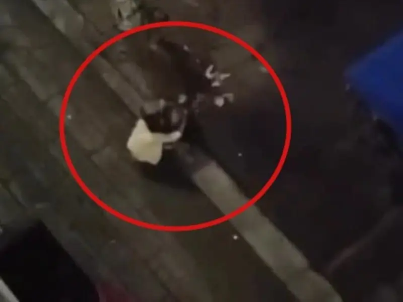 Mujer abraza a perro callejero para tener consuelo y la muerde