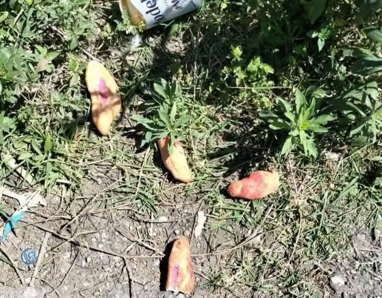 Harán necropsia a los 3 niños que fallecieron envenenados por comer pan en Chiapas