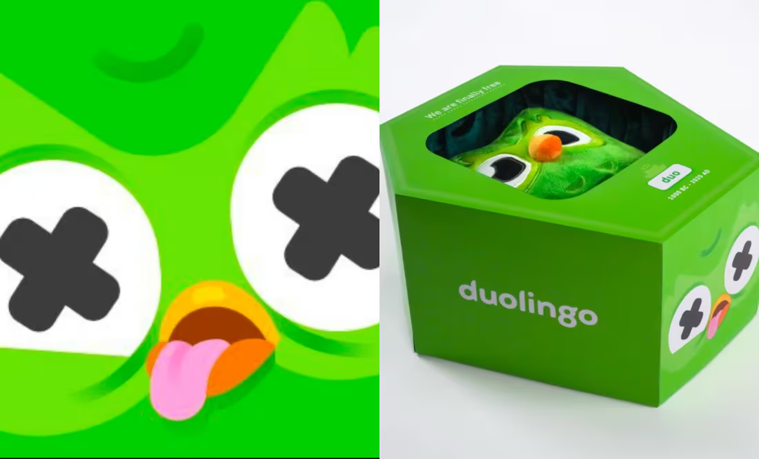 Duolingo lanza caja conmemorativa tras muerte de su mascota; ¿cuánto cuesta y dónde adquirirla?