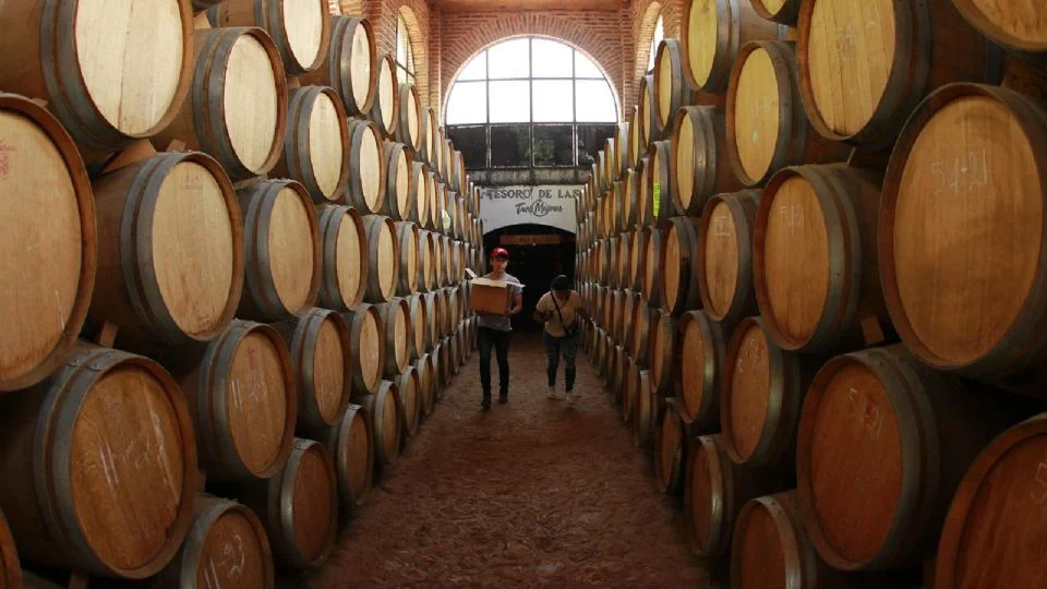 Aranceles de Trump asustan a tequileros mexicanos por poner en riesgo su actividad