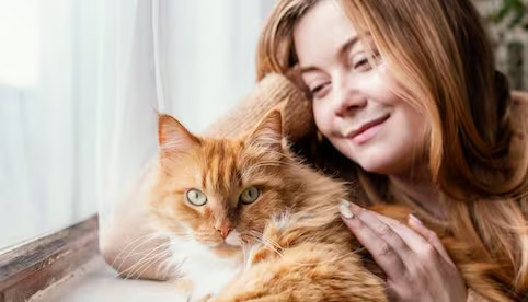 ¿Qué quiere decir tu gato?; IA traduce los maullidos y revela su significado