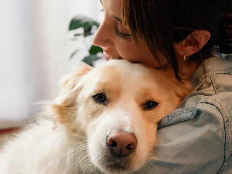 ¿Cómo certificar a mi perro como apoyo emocional? Descubre su papel en la salud mental
