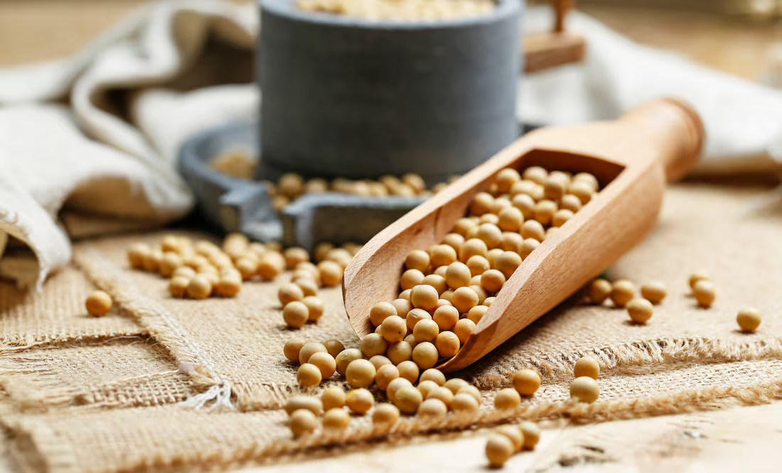 Transforma tu cocina: descubre todo sobre la soya con este recetario vegano