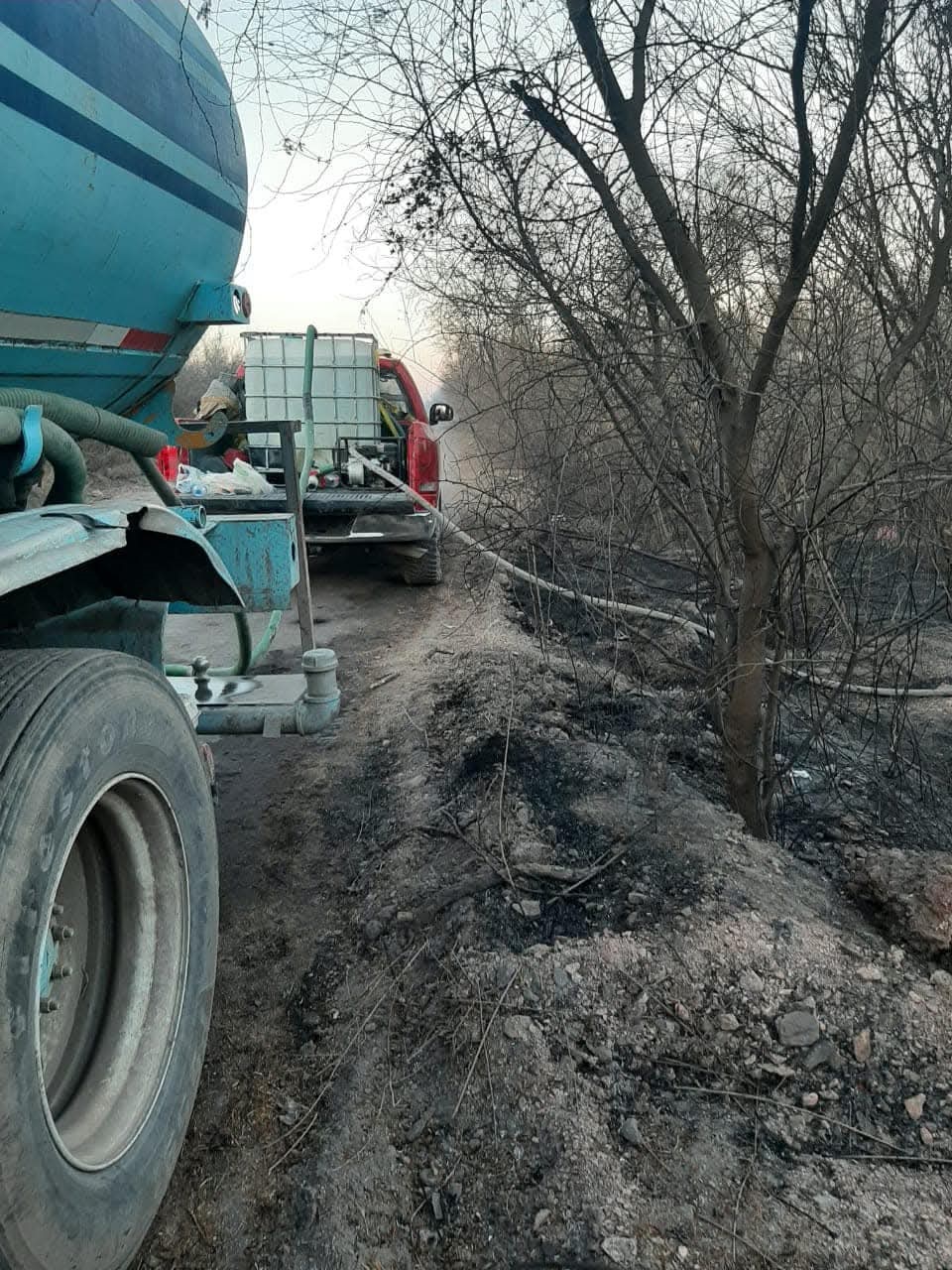Consume incendio Sabinos; tardan 4 horas en extinguirlo