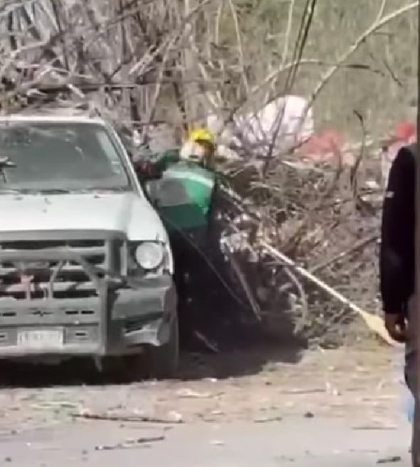 Viento tira árbol; lesiona burócratas