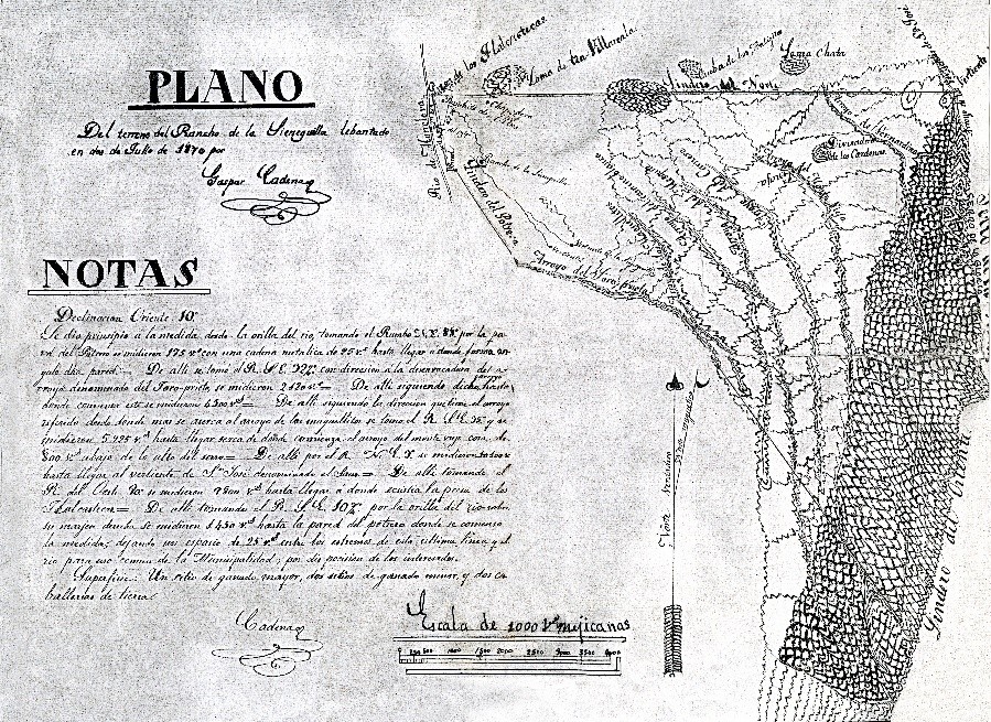 Arqueosaurios