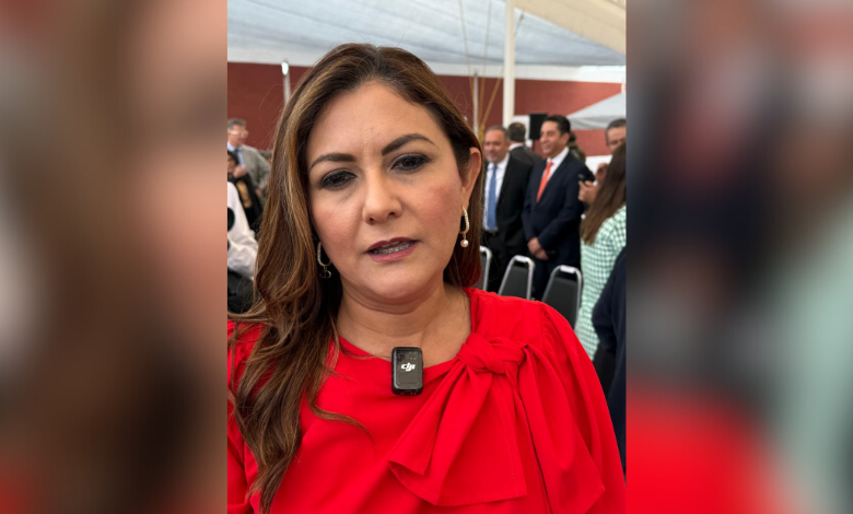 Funciones del ICAI pasarán a SEFIRC