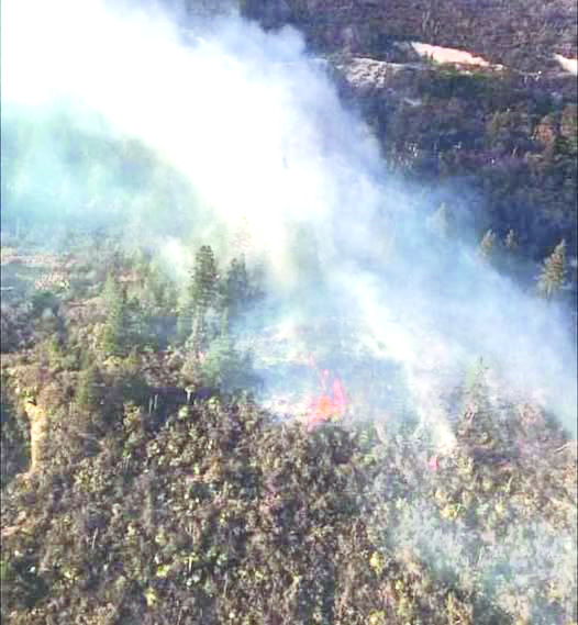 Provoca caos incendio en Maderas del Carmen