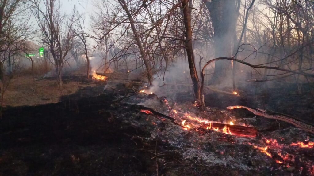 Suman 400 incendios en la Región Centro