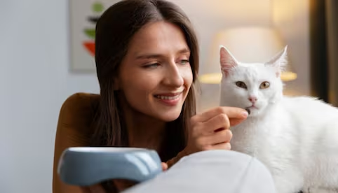 ¿Cuál es la mejor forma de hablarle a tu gato para que te preste atención?; esto dice estudio