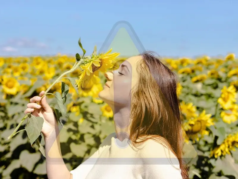 ¿Cuál es la flor más peligrosa en primavera?