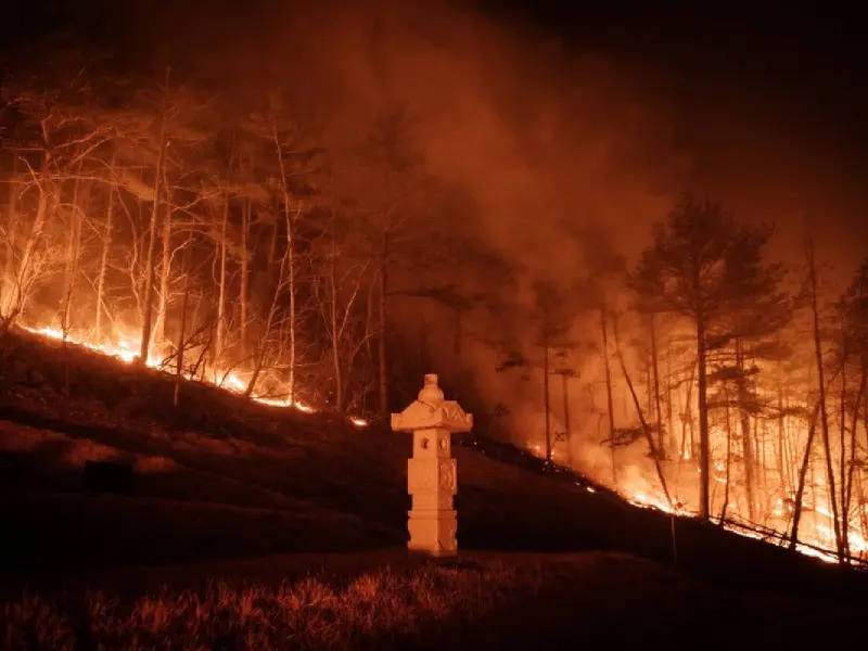 Incendios en Corea del Sur dejan 27 mil evacuados y 24 fallecidos