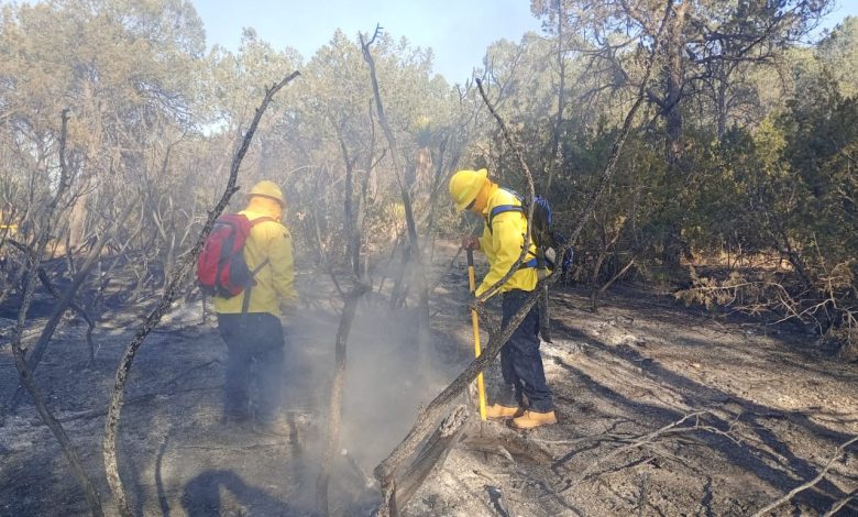 Piden no usar carbón ni leña en sierras de Arteaga