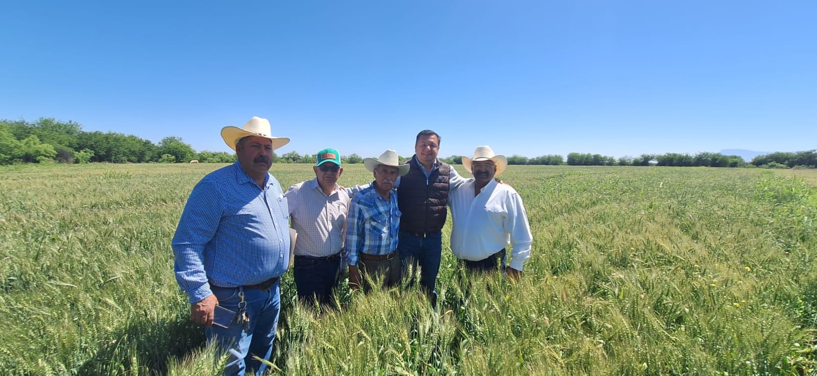 Impulsa Coahuila producción agrícola en la Región Centro