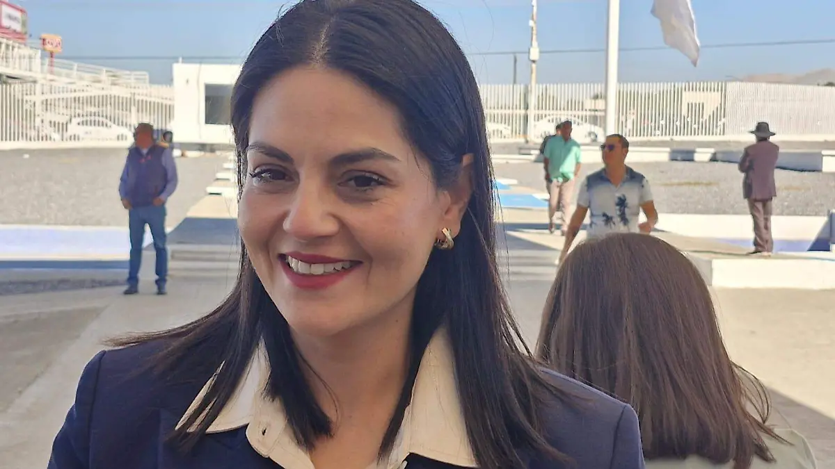 Analiza Congreso aumento de penas por delitos con IA