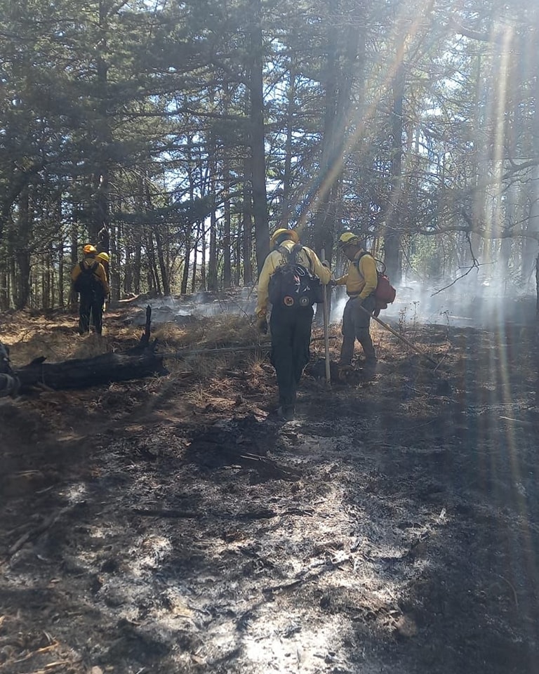 Arrasa incendio con Maderas del Carmen