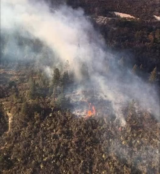 Provoca caos incendio en Maderas del Carmen