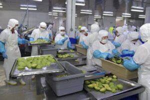 Sindicato de Avomex no defiende a trabajadores