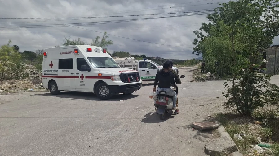 Atacan las abejas y lesionan a 4 vecinos