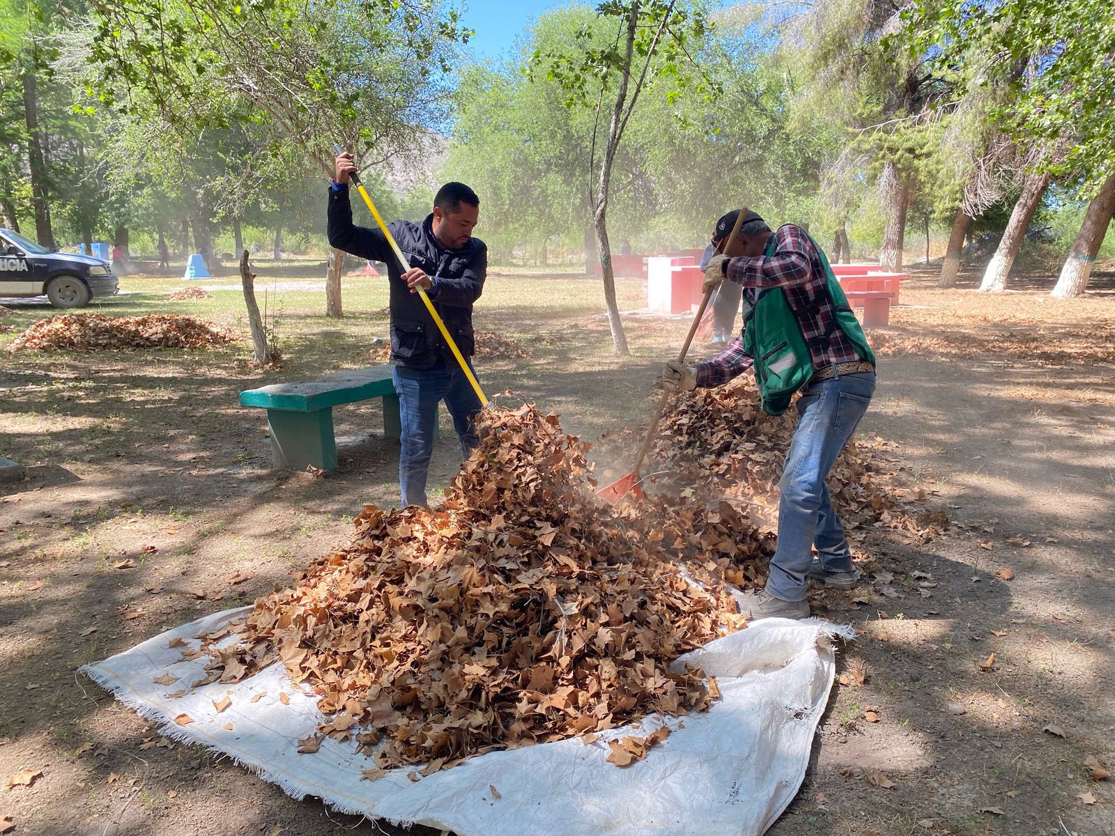 Impulsa Adriana acciones por un Ocampo más verde