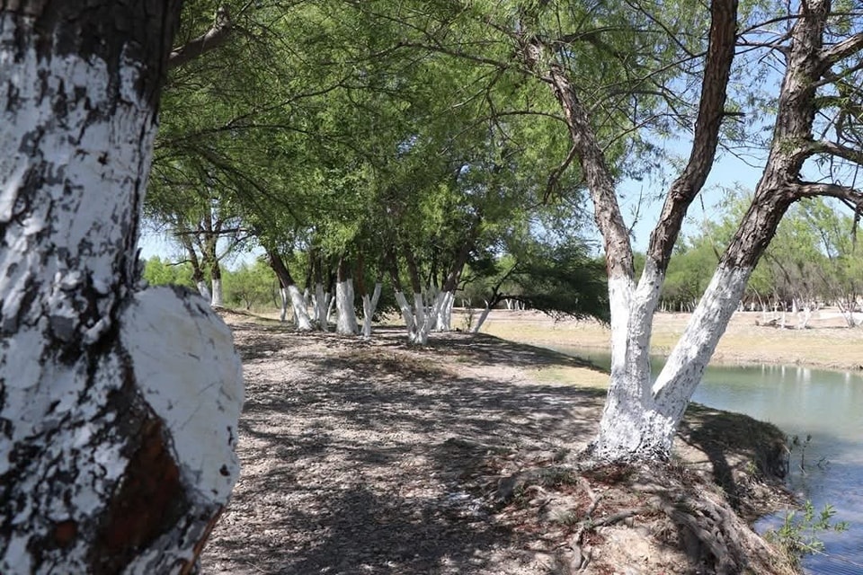 Invita alcalde a visitar río Álamos en Semana Santa