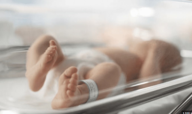 “Estamos muy felices”; padres de cuatrillizos
