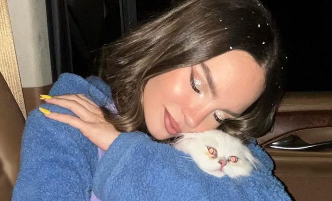 Belinda pide ayuda para localizar a Glen, su gato