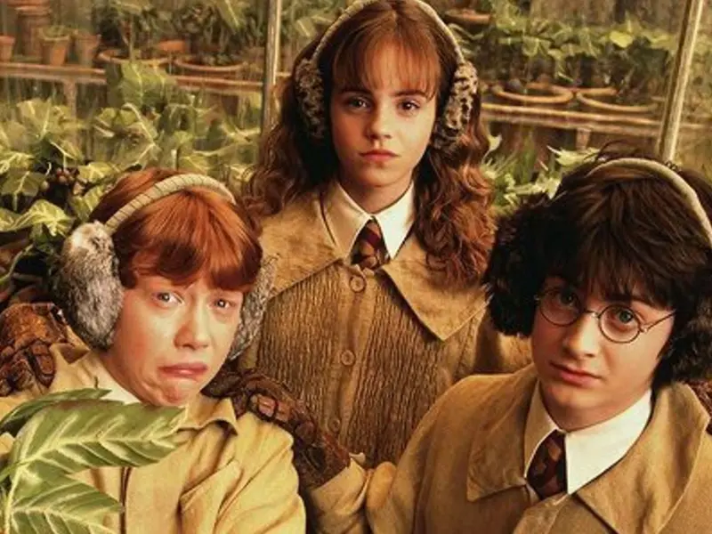 ¡Harry Potter revela primeros actores! Ellos serán los profesores de Hogwarts en la serie de Max
