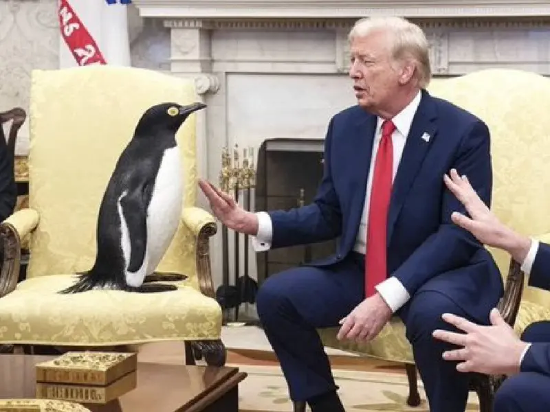 Los pingüinos son la nueva oposición contra Trump en redes sociales, ¿por qué?