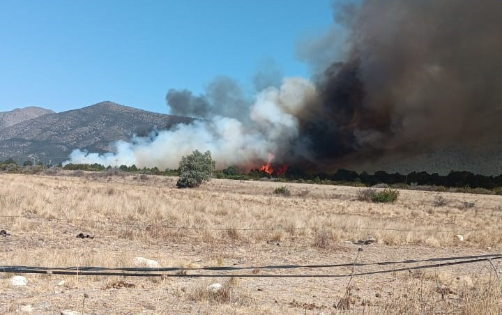 Desafían fuego y viento en Arteaga