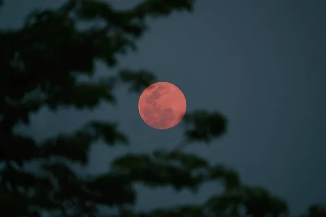 El fenómeno será visible este fin de semana «Luna Rosa» llena (microluna) de abril