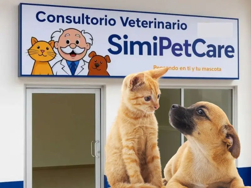 ¿Farmacias Similares tendrá veterinarias?