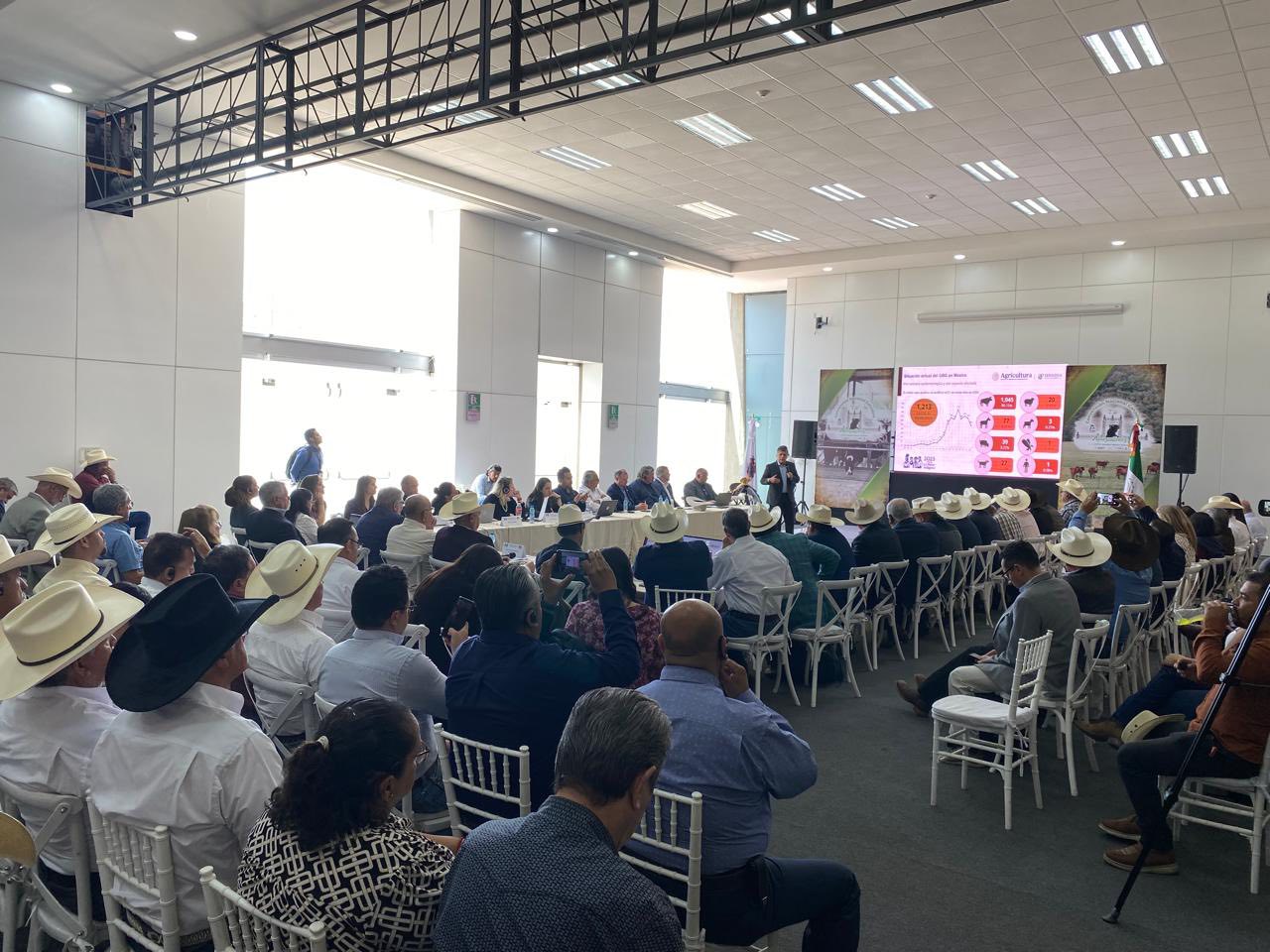 Busca Coahuila reanudar la exportación de ganado a EU