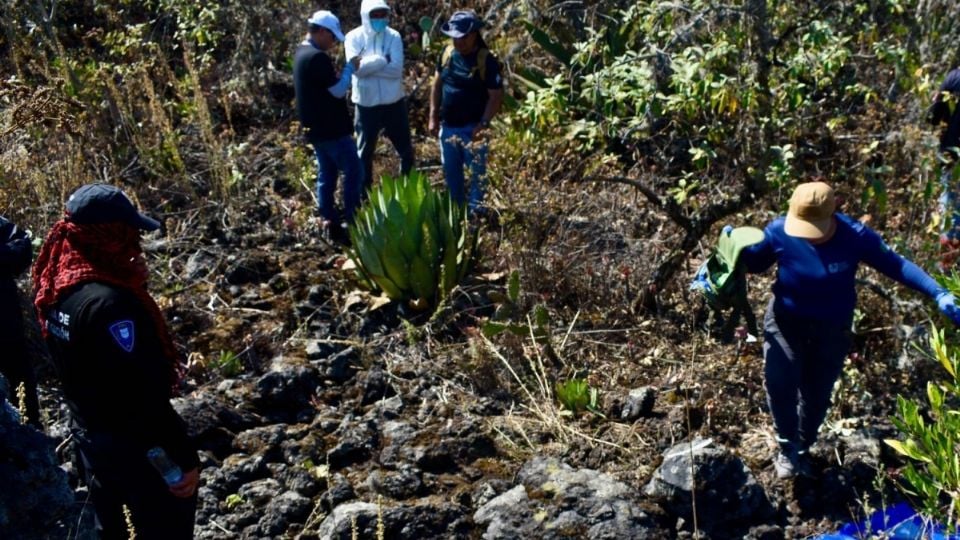 Desaparecen 42 personas al día en México, alerta Causa en Común
