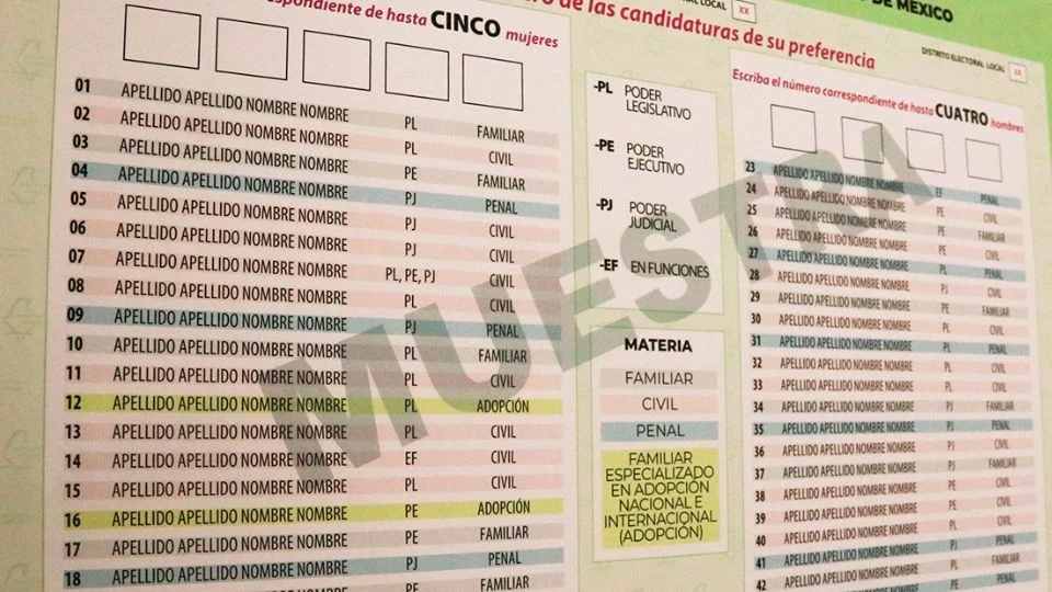 Difunden lista de candidatos a PJ impugnados por el Congreso