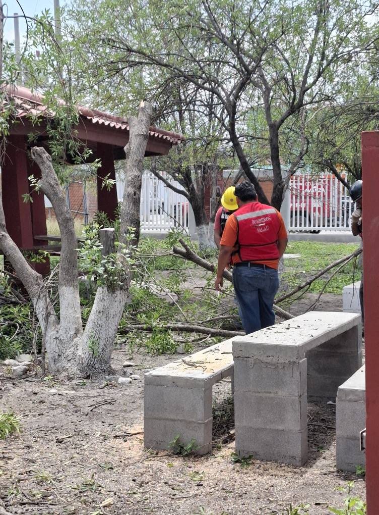 Refuerza Múzquiz la seguridad en escuelas