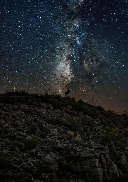 Tiene Ocampo potencial para turismo astronómico