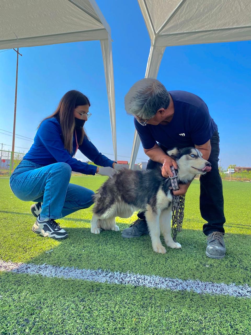 Invita SB a jornada de salud para mascotas