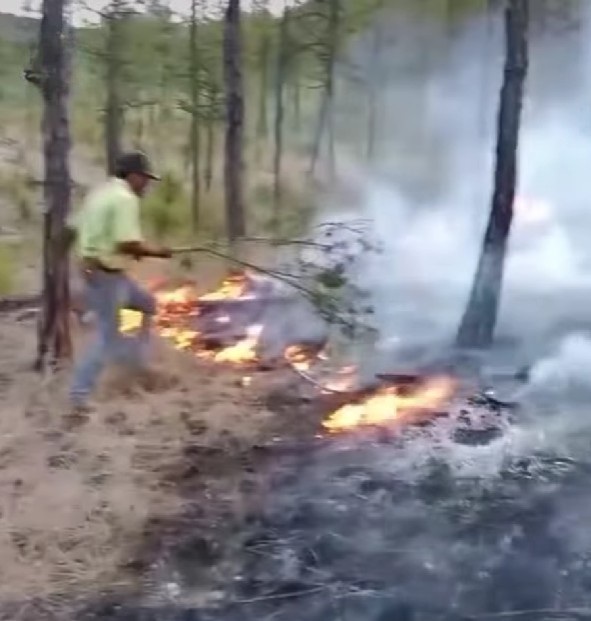 Con ramas y esfuerzo logran contener fuego