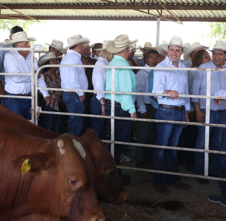 ENTREGA MANOLO 400 TOROS A PRODUCTORES DE COAHUILA