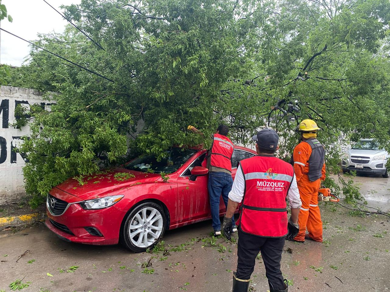 Tormenta causa estragos en Múzquiz; alcaldesa ordena despliegue inmediato de cuerpos de emergencia