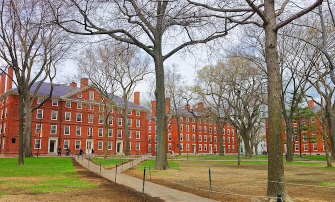 Trump da nuevo golpe a Harvard; le prohíbe inscribir a estudiantes extranjeros