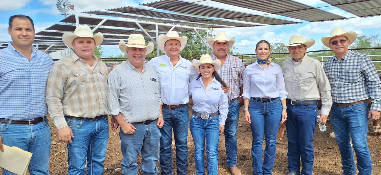Fortalecen sector ganadero con entrega de sementales