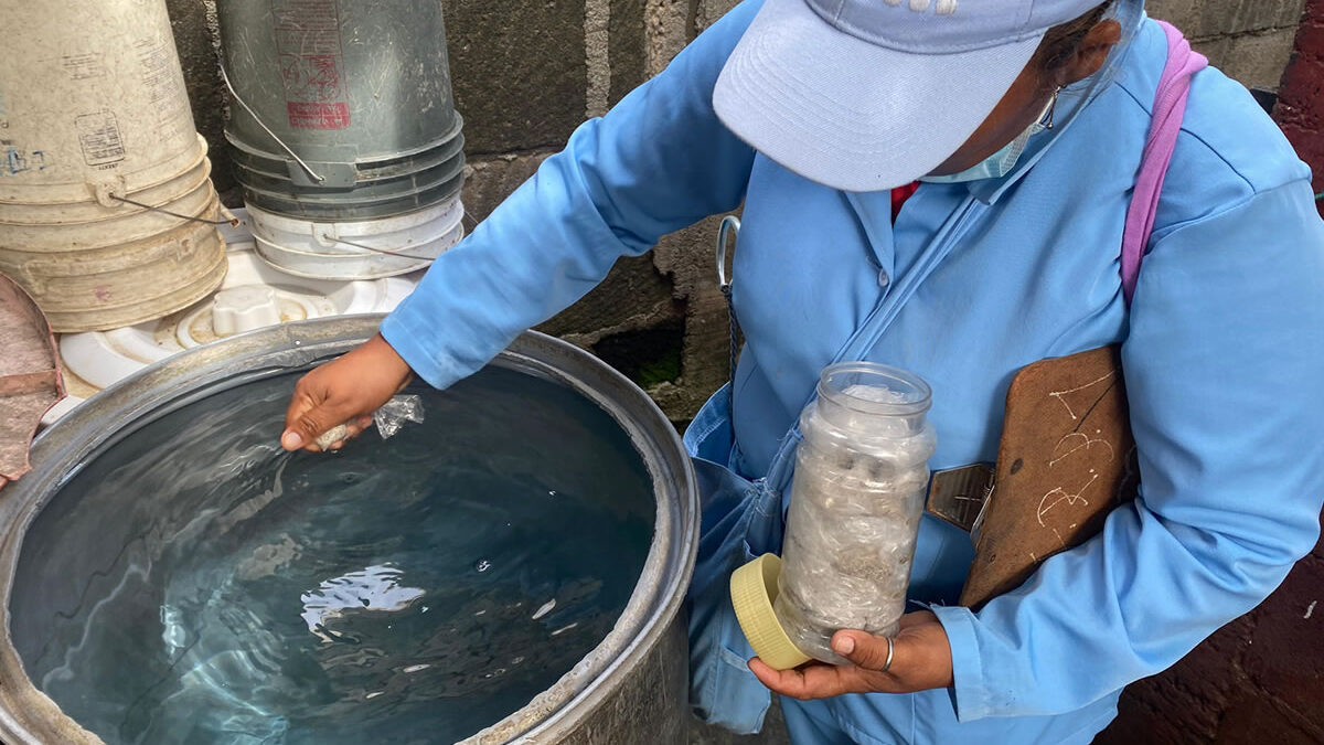 Registra SSA solo 13 casos de dengue