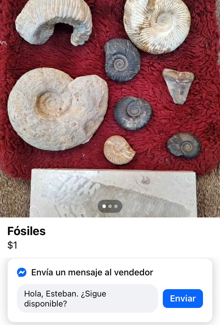 Detectan venta ilegal de fósiles en redes sociales