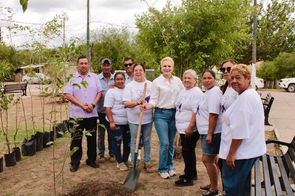 Siembra alcaldesa 20 árboles en Rancherías