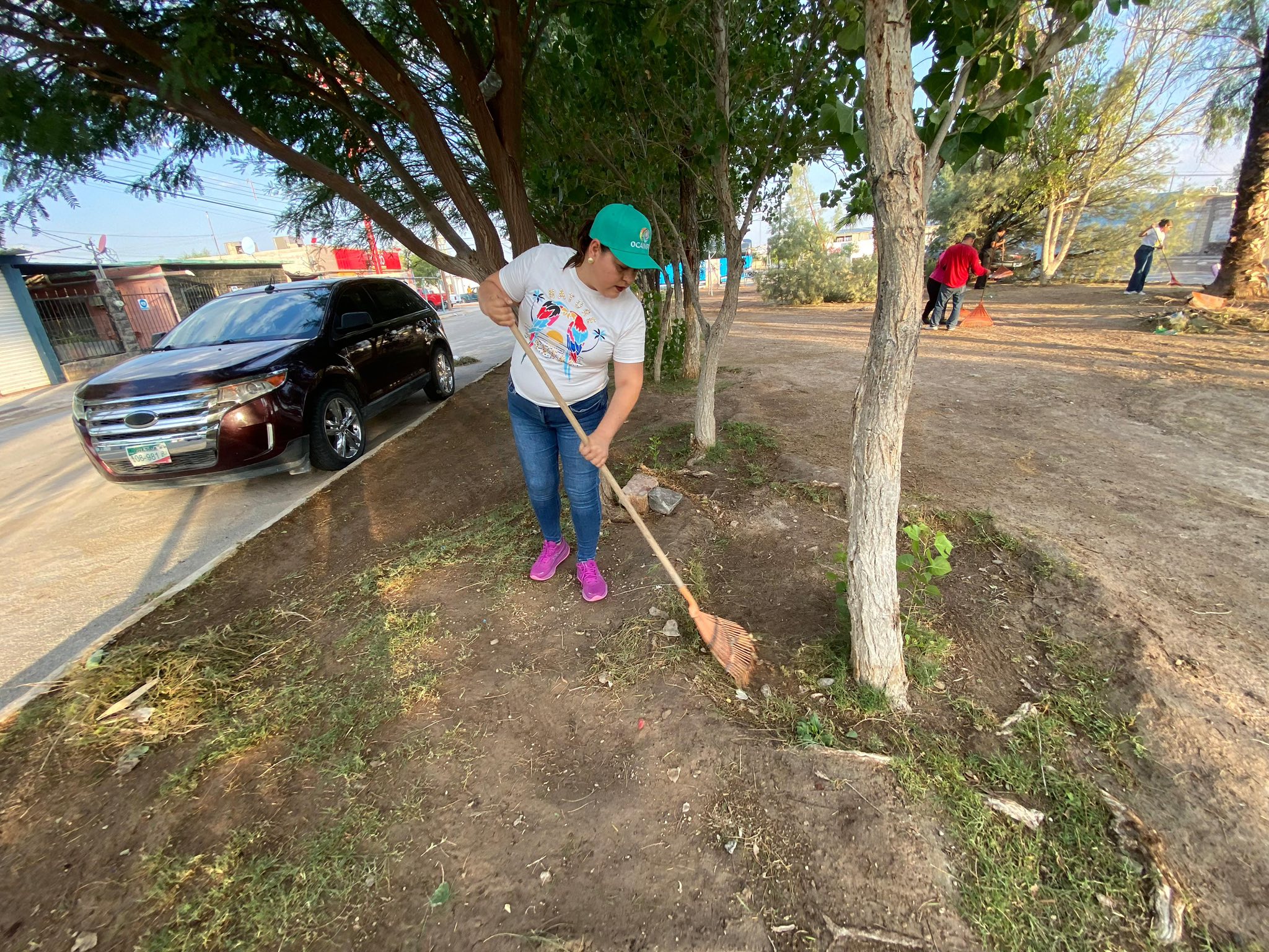 Convoca Ocampo a gran jornada de reforestación