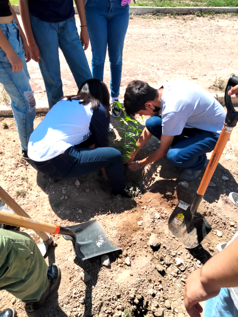 Se suma todo Coahuila a reforestación masiva