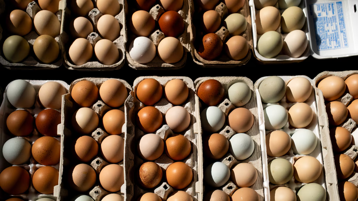 EU retira 20 millones de huevos en Walmart por casos de salmonela