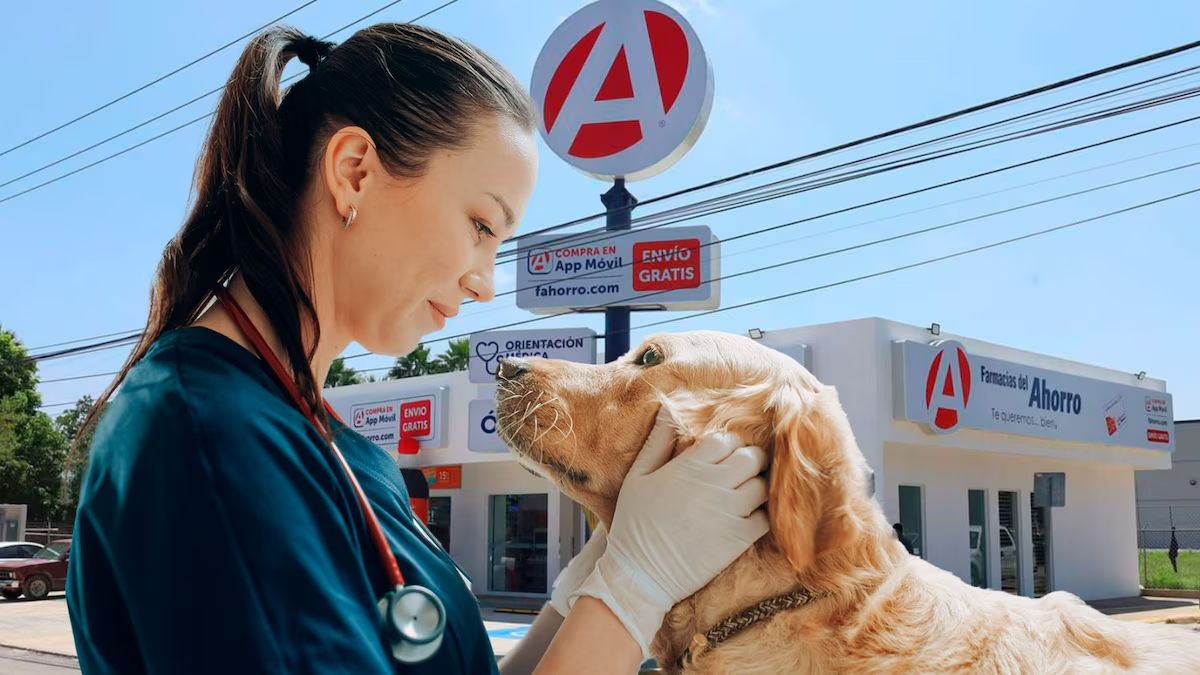¿Qué sabemos de las veterinarias de Farmacias del Ahorro, donde darán consultas gratis?